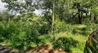 8cents residential plot for sale