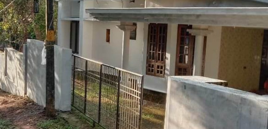 11.75 cents with 3BHK house for sale