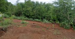 10cents plain residential plot for sale