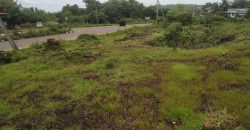 4cents commercial land for sale near Kundamkuzhy