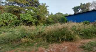 Prime Residential Plot for Sale in Parakatta, Kasaragod