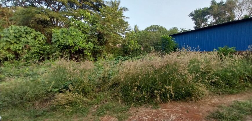 Prime Residential Plot for Sale in Parakatta, Kasaragod