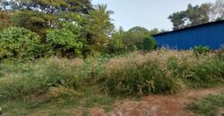 Prime Residential Plot for Sale in Parakatta, Kasaragod