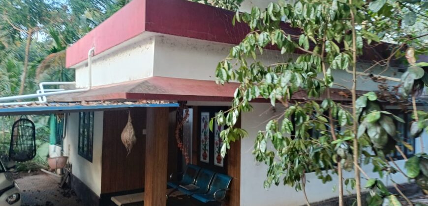 🏡 Beautiful 3BHK House for Sale in Cheruvathur, Kasaragod