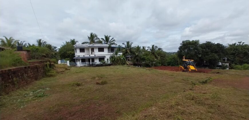 Residential Plot for Sale – Prime Location in Pannipara, Vidyanagar, Kasaragod