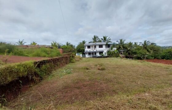 Residential Plot for Sale – Prime Location in Pannipara, Vidyanagar, Kasaragod