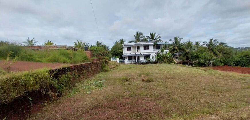 Residential Plot for Sale – Prime Location in Pannipara, Vidyanagar, Kasaragod