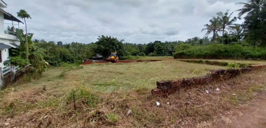 Residential Plot for Sale – Prime Location in Pannipara, Vidyanagar, Kasaragod