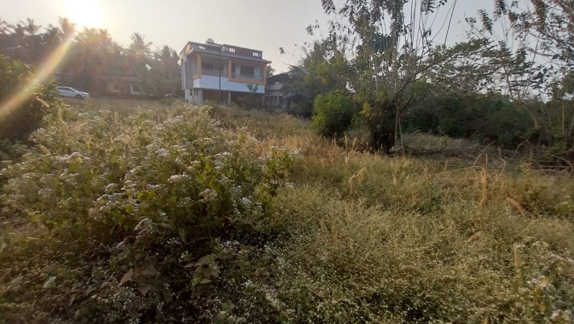 🏡 RESIDENTIAL PLOT FOR SALE