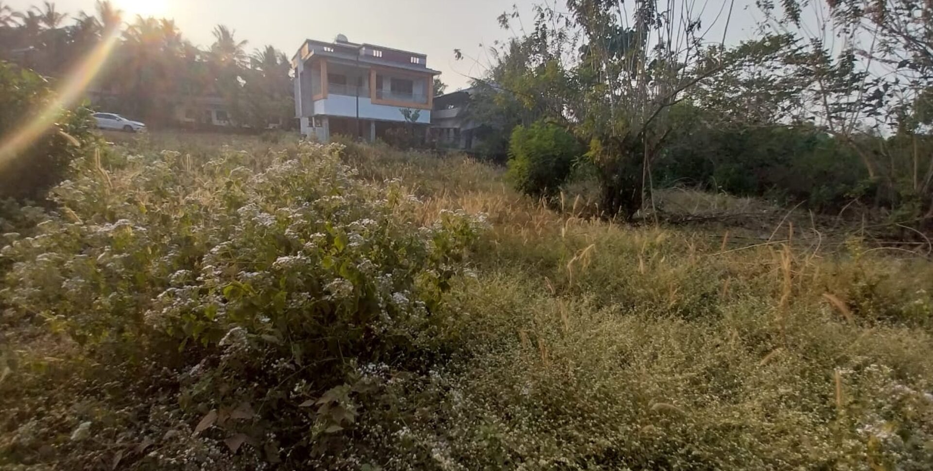 🏡 RESIDENTIAL PLOT FOR SALE