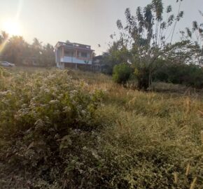 🏡 RESIDENTIAL PLOT FOR SALE