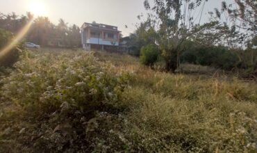 🏡 RESIDENTIAL PLOT FOR SALE