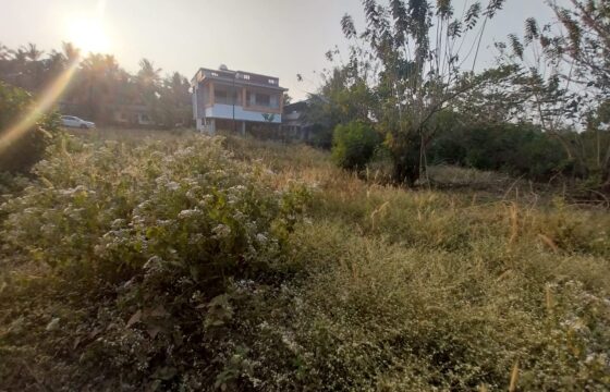 🏡 RESIDENTIAL PLOT FOR SALE