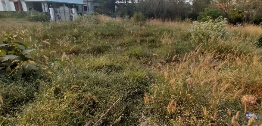 🏡 RESIDENTIAL PLOT FOR SALE