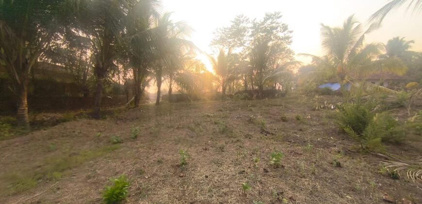 RESIDENTIAL PLOT FOR SALE