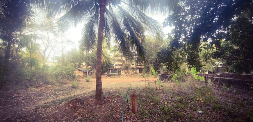 RESIDENTIAL PLOT FOR SALE