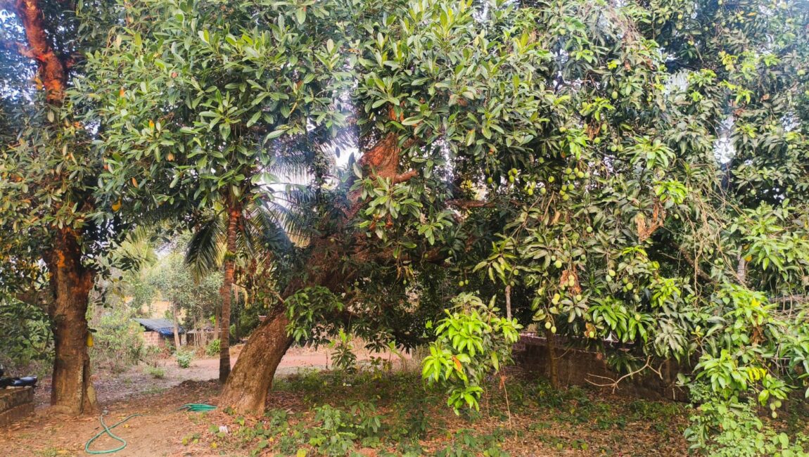 RESIDENTIAL PLOT FOR SALE