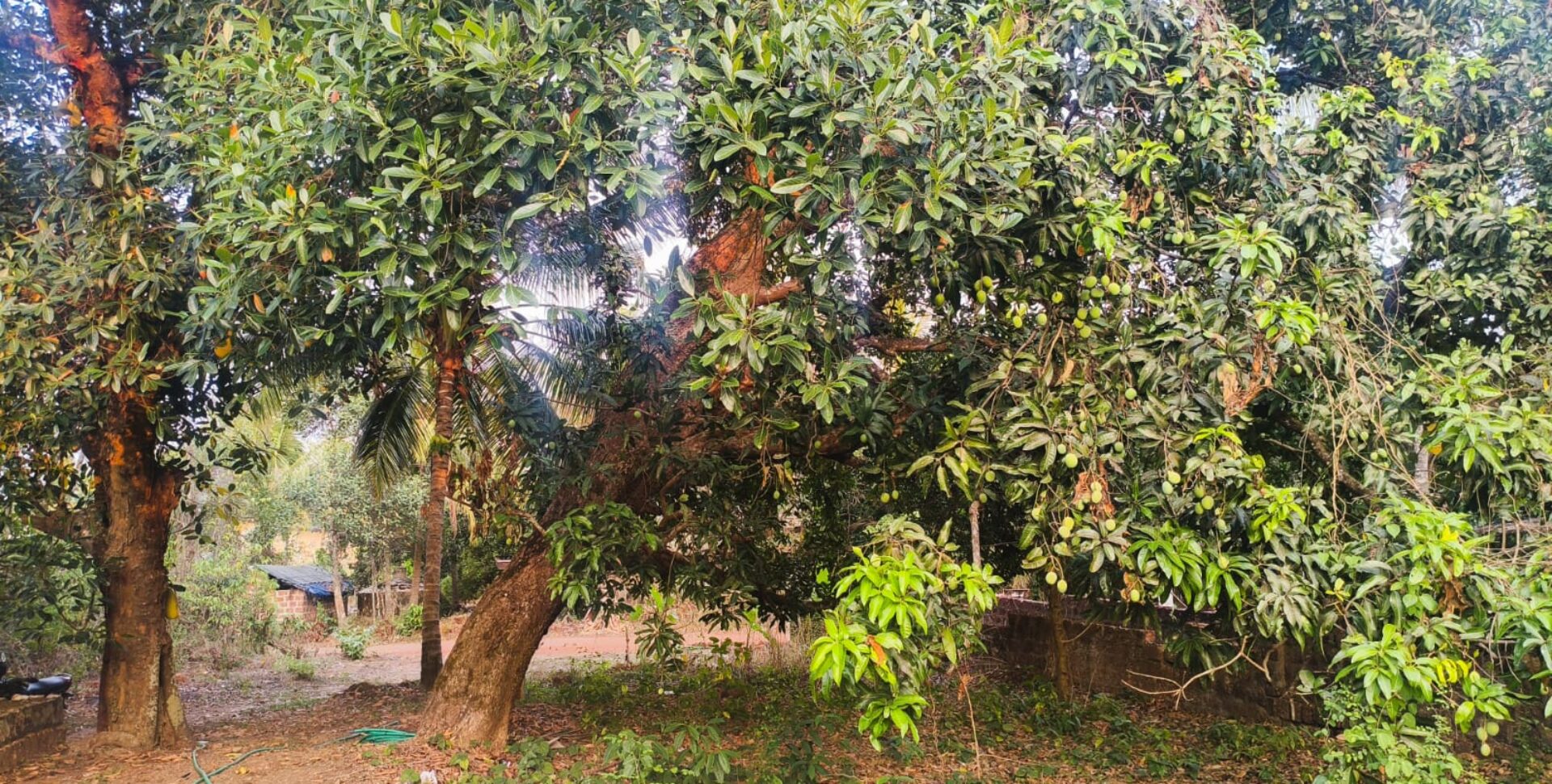 RESIDENTIAL PLOT FOR SALE