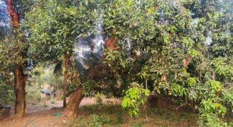 RESIDENTIAL PLOT FOR SALE