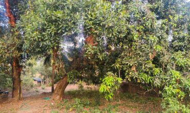 RESIDENTIAL PLOT FOR SALE