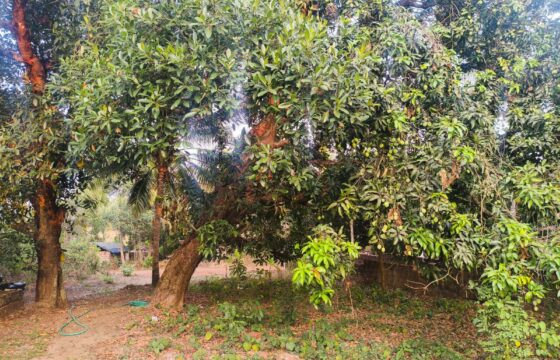 RESIDENTIAL PLOT FOR SALE