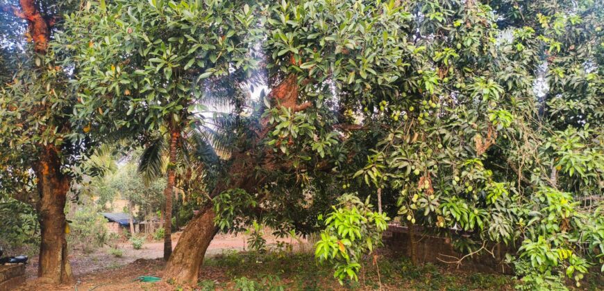 RESIDENTIAL PLOT FOR SALE