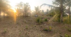 RESIDENTIAL PLOT FOR SALE