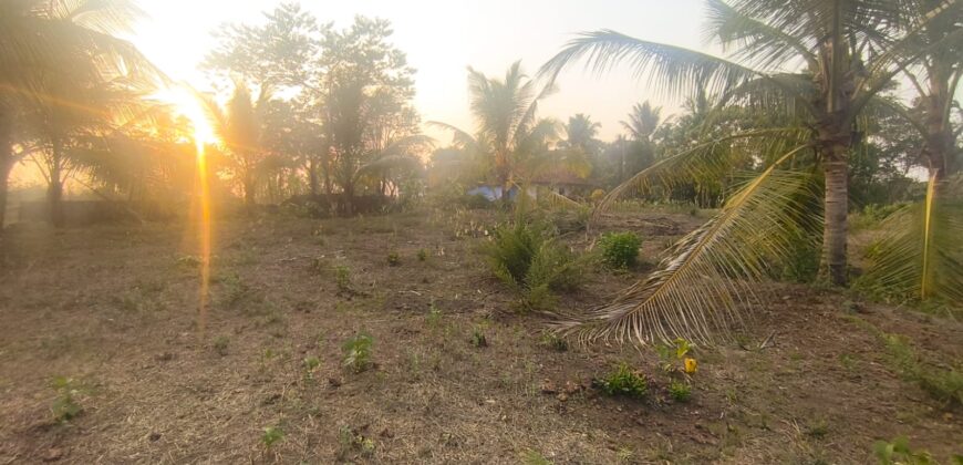 RESIDENTIAL PLOT FOR SALE