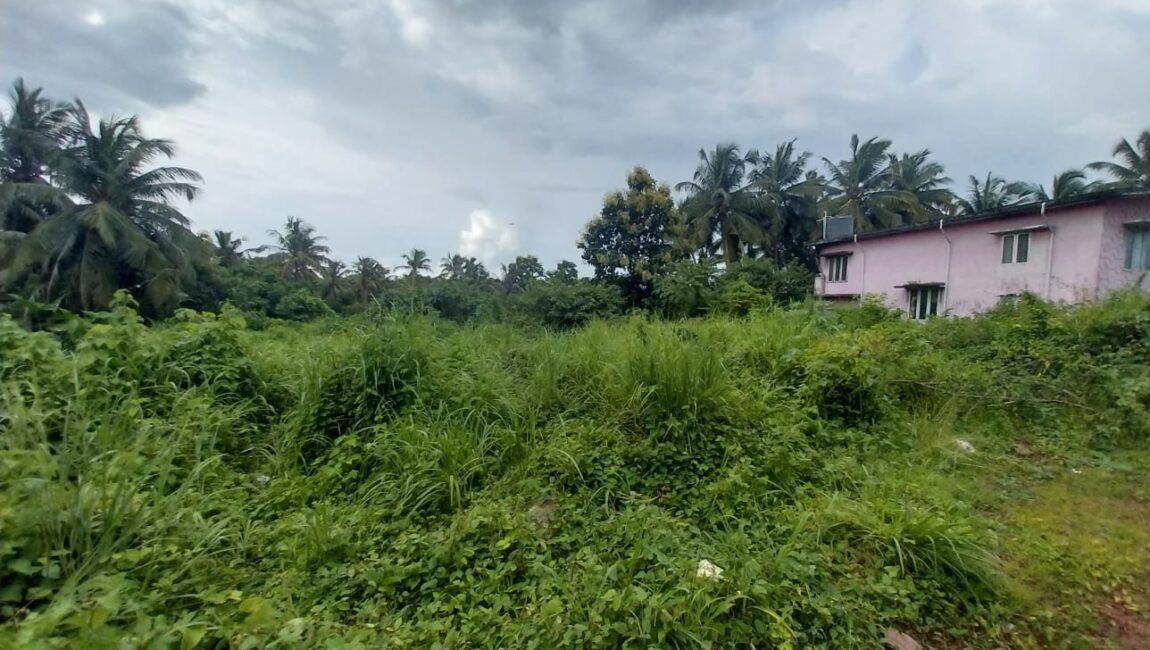 PREMIUM RESIDENTIAL PLOT FOR SALE