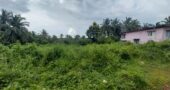 4 Acres PRIME NH-66 FRONTAGE LAND FOR SALE