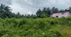 PREMIUM RESIDENTIAL PLOT FOR SALE