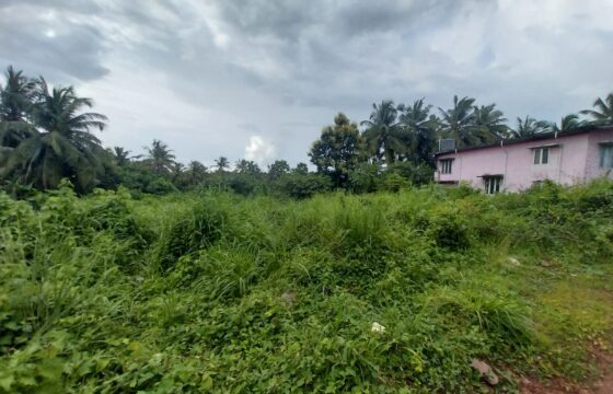 PREMIUM RESIDENTIAL PLOT FOR SALE